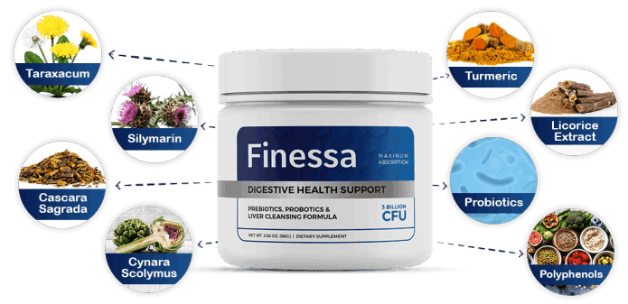 How Does Finessa Works?